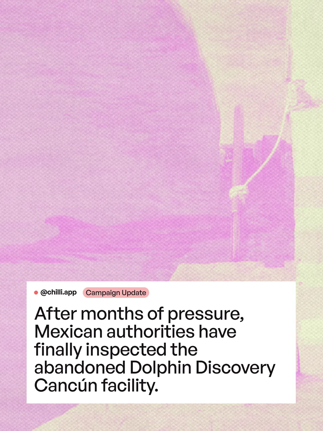 chilli Instagram campaign update: Mexican authorities finally inspected the abandoned Dolphin Discovery Cancún facility